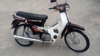 Honda Dream Nâu trắng Việt Nam