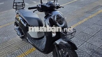 Honda Scoopy 2026 màu Đen