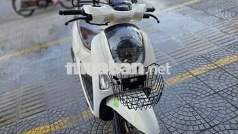 Honda Scoopy 2026 Trắng bs 43