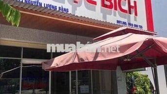 Đất mặt tiền Nguyễn Lương Bằng gần Mega MM chính chủ