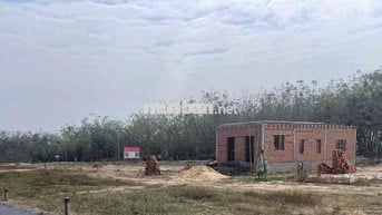 ĐẤT NỀN GIÁP RANH CỦ CHI- BÌNH DƯƠNG