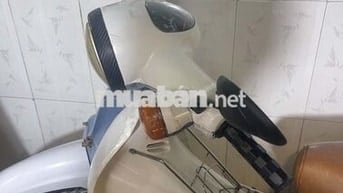 Honda Cúp 50 Trắng, Xám