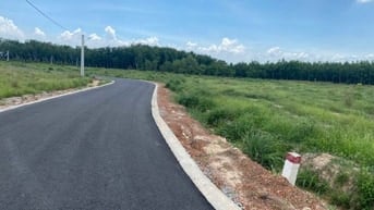 Bán đất tại ĐT 704, Minh Thạnh, Dầu Tiếng, 1,56 tỷ, 184 m2