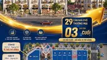 🏆 Cơ Hội Cuối Sở Hữu Shophouse Đào Tấn Diamond 🏆