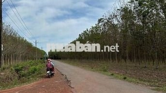 Bán lô đất nền đẹp - Ngay KCN Bến Củi - Giá rẻ chỉ 340 triệu/lô