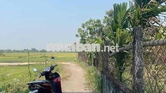 la bông hoà tiến sát vành đai giá 1290tr