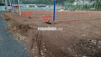 bán đất nền.đất sào khu vực. Minh lập. Minh Hưng. đồng tâm 
