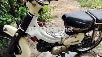 Honda Cub 50cc Trắng