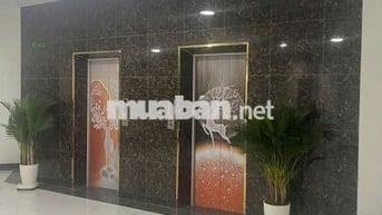 Mỗi năm mất cả trăm triệu tiền thuê nhà? Chỉ hơn 5 tỷ sở hữu ngay 🔥