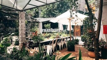Biệt Thự Sân Vườn Hiếm Có Giữa Trung Tâm Phú Nhuận | 28x18m trệt lầu
