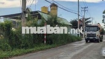 BÁN 8000M2 - 80M MẶT TIỀN ĐƯỜNG CONTAINER - CÓ DÒNG TIỀN SẴN !