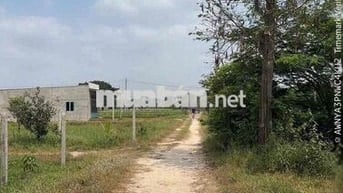 Ngân hàng thanh lý tài sản: xã Tân Mỹ, Huyện Đức Hoà, Long An