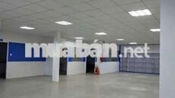 xưởng cho thuê Tân Thới nhất 8 Q12 có pccc giá rẻ