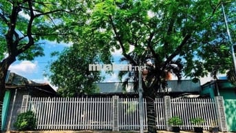 Mặt bằng ngang 14( 660m2) nằm ngay trung tâm Thủ Dầu Một
