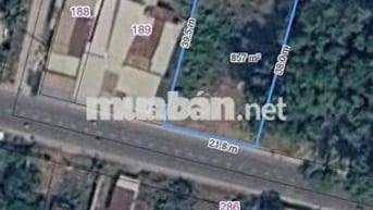 💎 ĐẤT MẶT TIỀN CỰC ĐẸP TẠI PHÚ HÒA ĐÔNG – 851M², SẴN 300M² THỔ CƯ