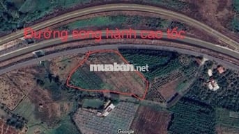 Bán đất Khu dân cư, Thống Nhất, Đồng Nai, giá tốt, diện tích 6971m2