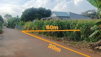 Công ty Đấu giá hợp danh Lam Sơn Sài Gòn THÔNG BÁO ĐẤU GIÁ TÀI SẢN