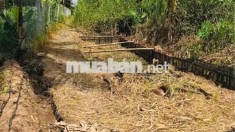 bán đất thổ cư 60m2 xây nhà liền , gần chợ mỹ khánh phường an bìnhh