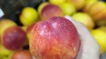Em mới về thùng đào 🍑 còn cứng.