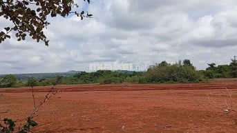 Đất view đẹp Tại Bờ Ngoong Gia Lai 