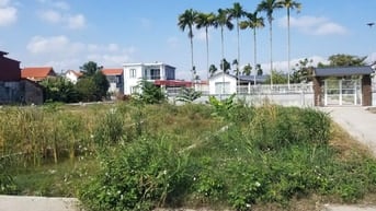 Cần Bán Nhanh Lô Đất 60m2 Minh Đức Đồ Sơn. Giá 1 tỷ.