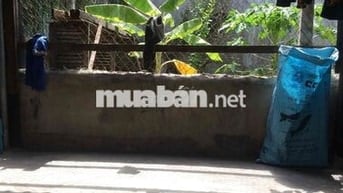Cho thuê phòng trọ 16 m2 khu tt nhà máy sợi - Tân thành - Bắc nha tran
