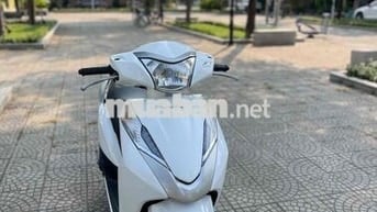 Honda Lead Trắng