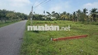 cần bán lô đất Tân An Hội, 100m2 vuông vức đường nhựa