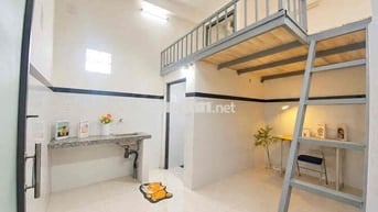 cho thuê phòng trọ giá hạt dẻ ngay tân bình