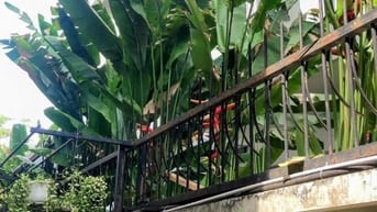 Cho thuê Biệt Thự Phú Mỹ Vạn Phát Hưng giá 50 triệu thích hợp cty