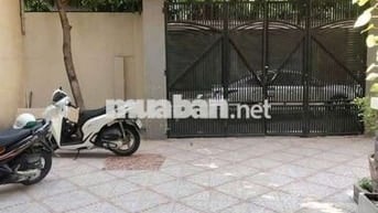 Hẻm Xe Hơi VIlla_BD.Túy_ DT 12×22_ 3 Tầng _ 8 Phòng_ Tiện Ở & VPCT& KD