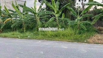 Bán đất đẹp gần chợ Bình Chánh , 170m2/790tr hợp đầu tư kinh doanh