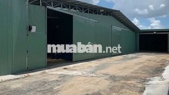 Cho thuê kho xưởng đường mã lò gần Lê văn quới giá rẻ