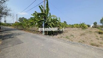 Mặt tiền nhựa 6 tấn 5 tỷ 1000m2 Hưng Long Bình Chánh 