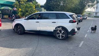Peugeot 5008 2018 SUV Trắng 7 chỗ