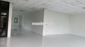 🌿 VĂN PHÒNG 100M² KHÔNG GIAN RỘNG RÃI THOÁNG MÁT GẦN CẦU HÒA XUÂN 🌿
