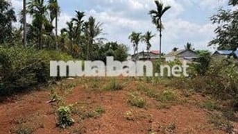 Bán 12x67 đường nhựa Buôn KomLeo