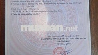 ĐẤT ĐẸP ĐƯỜNG NHỰA - GẦN CHỢ TÂN THÀNH - GIÁ TỐT BÙ ĐỐP - CHÍNH CHỦ