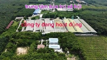 đất chánh phú hòa 5x60 mặt tiền nhựa lớn