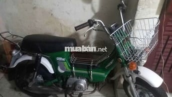 Honda Chaly 50 Xanh lá