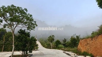 Bán đất nghỉ dưỡng view đẹp tại Khánh Hòa - Hoa hồng cho môi giới: 2%