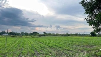 Bán đất sào ở TP ĐỒNG NAI, đất vuông vức, mặt tiền nhiều