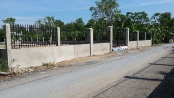 Cho thuê mặt bằng đất trống trên đường Bờ Chùa, xã Bình Chánh