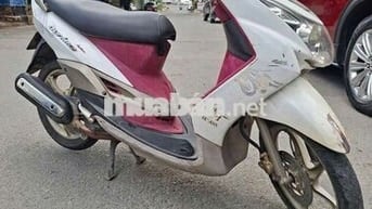 Mio utimo giấy tờ đầy đủ. Máy bao êm 
