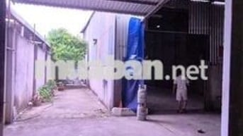 Cho thuê nhà  và kho ( dt500m2 ) 