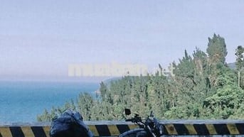 Brixton 150 Scramble 2018 Đen 70%