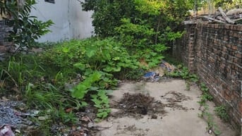 CHÍNH CHỦ BÁN ĐẤT ĐỒNG MAI, HÀ ĐÔNG – 111,2m² – MT 5M – SỔ ĐỎ
