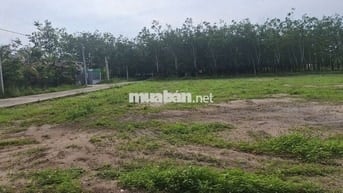 CHÍNH CHỦ cần bán gấp lô đất 250m2 giá 250TR