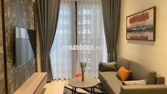 Cho thuê chung cư VINHOMES BASON, DT 60m2, 2PN, 1WC, giá 22triệu/tháng