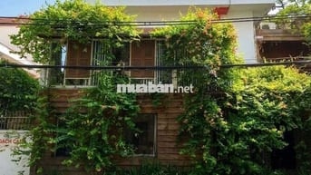 Cho thuê nhà 79 Phan Kế Bính, P.Đa Kao, Q.1
-Diện tích: 14 x 9.5m